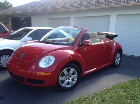 My punch buggy !  Today's version but mine is slate blue and also a convertible.  5th one of the newer style.  Luv Luv Cute Punch Buggy, Cute Buggy Car, Blue Punch Buggy, Bug Volkswagen, Punch Buggy, Red Beetle, Blue Punch, Red Convertible, Volkswagen Beetle Convertible