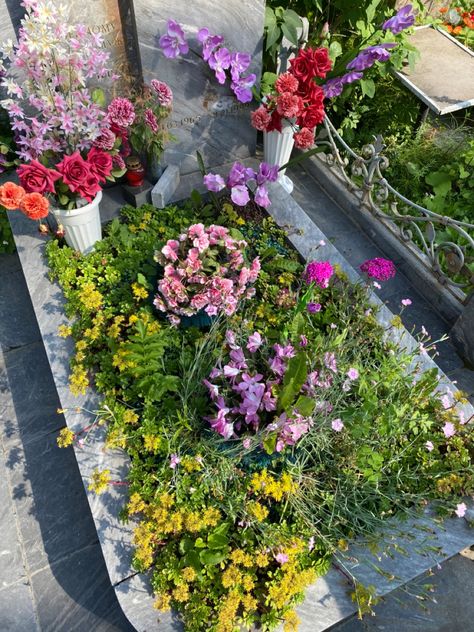 Flowers On Grave Aesthetic, Grave Stone Aesthetic, Flowers On Grave, Grave With Flowers, Graveyard Flowers, Gravestone Flowers, Winter Budapest, Enhypen Pic, Zombie Ghost