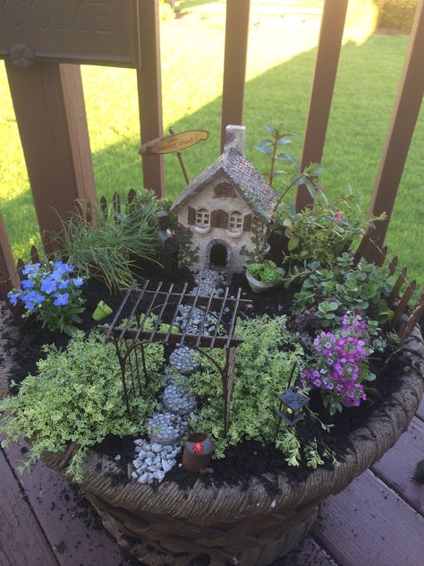 Bird Bath Fairy Garden Ideas, Tray Fairy Garden, House Plant Fairy Garden, Fairy Garden Box, Fairy Garden Bird Bath, Fairy Garden Diy Pots & Planters, Fairy Garden Plant Pot, Dinosaur Fairy Garden, Fairy Garden Containers