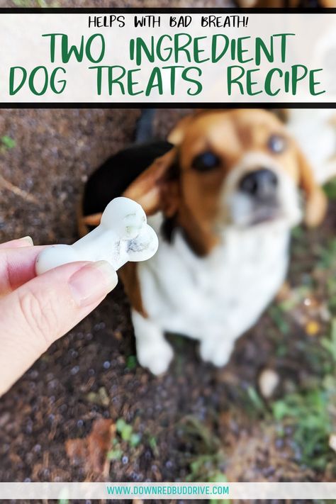 Diy Dog Breath Freshener, Dog Treats For Bad Breath, Natural Dog Breath Freshener, Mint Dog Treats, Dog Bad Breath Remedy, Dog Breath Mints, Dog Breath Remedy, Coconut Oil Dog Treats, Dog Breath Treats