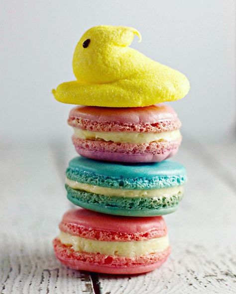 Marshmallow PEEPS® Macaron Cookies - Mom Needs Chocolate Spring Macarons Flavors, Peep Macarons, Sheep Macarons, Easy White Cake Recipe, Blueberry Lavender Macarons, Peeps Flavors, Pink And Purple Macaroons, Homemade White Cakes, Spring Candy