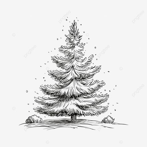 christmas tree vector illustration hand drawn engraving ink sketch pine branch vintage sketch vint Christmas Tree Outline Drawing, Hand Drawn Christmas Tree, Spruce Tree Drawing, Christmas Tree Sketch, Drawn Christmas Tree, Christmas Tree Outline, Christmas Tree Vector, Pine Tree Drawing, Tree Vector Illustration