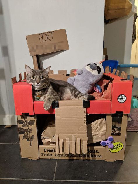 Some Cats Have A Box. Ours Has A Fort And A Slothicorn Guard. Cat Fort, Cardboard Forts, Cats Couple, Disney Painting, Cartoons Drawing, Cardboard Cat House, Cat Castle, Drawing Funny, Couple Funny