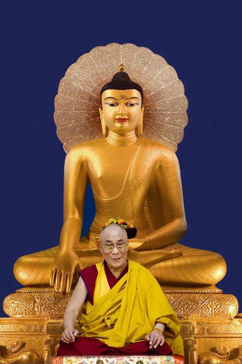 FPMT    His Holiness the Dalai Lama Dali Lama, Buddhist Quote, Beautiful Buddha, Quote For The Day, 14th Dalai Lama, Very Important Person, Buddha Temple, Siddhārtha Gautama, Buddhist Practices