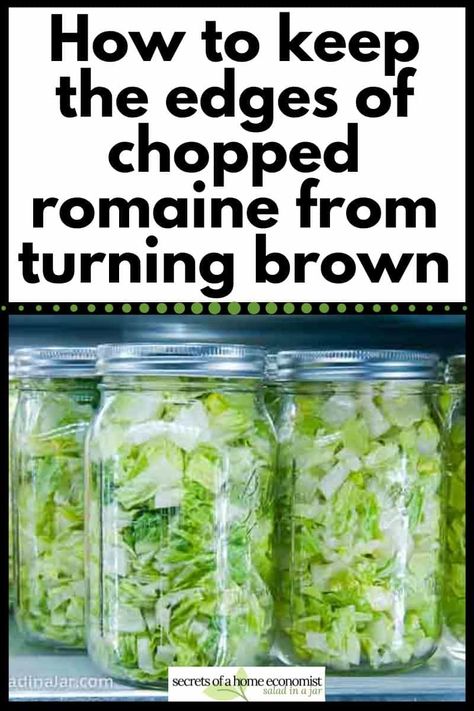 Try this amazing technique for keeping your chopped lettuce from turning brown on the edges. Lettuce stays fresh and crisp for 7-10 days. Lettuce Table Diy, How To Keep Lettuce Crisp, How To Keep Bagged Lettuce Fresh Longer, Storing Fresh Vegetables In Mason Jars, Mason Jar Fruit And Veggie Storage, How To Keep Romaine Lettuce Fresh Longer, Best Way To Keep Lettuce Fresh, Storing Romaine Lettuce In Fridge, Best Way To Store Lettuce