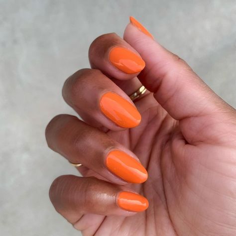 The Mani Club on Instagram: “Woke up feeling like a ten today. Color: You’re A 10” Coral Nails, New Nail Polish, Olive And June, Nail Art Kit, Orange Nails, Ig Post, Rose Lights, Mani Pedi, Light Orange