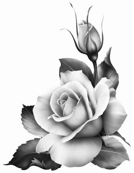 |#tattoo #handtattoo #tattoos #rosetattoo #tattoorose 816 Rose Tattoo Design Realistic, Realistic Rose Drawing, Black And Grey Rose Tattoo, Rose Tattoo Stencil, Realistic Flower Tattoo, Rose Reference, Realistic Rose Tattoo, Rose Flower Tattoos, Rose Drawing Tattoo