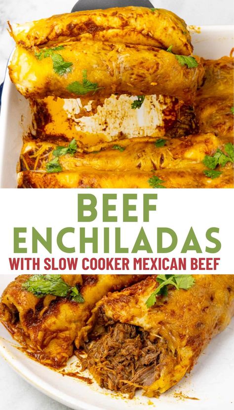 Tender, shredded beef nestled in warm tortillas, bathed in a flavorful red enchilada sauce, and topped with melted cheese. These Shredded Beef Enchiladas are easy, simple, and delicious, this Tex-Mex classic is sure to become a family favorite. Tex Mex Beef Enchiladas, Shredded Beef Enchiladas With Red Sauce, Barbacoa Enchiladas, Beef Enchiladas With Red Sauce, Mexican Holiday Recipes, Crock Pot Shredded Beef, Easy Winter Dinner, Enchiladas With Red Sauce, Zucchini Tortilla