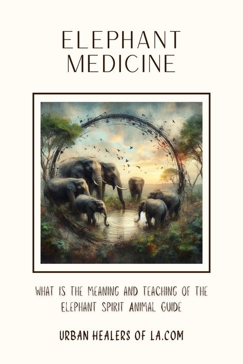 The ambition of evolution shows a most noble grace in the grandeur and subtlety of Elephant.  The oldest surviving matriarch on Earth is a walking library of personal Earth records. The Elephant Spirit Animal Totem teaches us how to heal past trauma and use our experiences as tools to expand into more freedom.   Weighing over 16,000 lbs and reaching heights of 13 feet, the elephant is a shy and curious giant.  The complex subtitles of her emotions ... Elephant Spirit Animal, Male Elephant, Spirit Animal Meaning, Elephant Shrew, Animal Meanings, Spirit Animal Totem, Animal Spirit Guides, Course In Miracles, Animal Guides