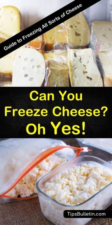 How To Freeze Cheese, How To Freeze Grilled Cheese, Freeze Cheese How To, Can You Freeze Cheese, Can You Freeze Ricotta Cheese, Freezing Milk, Freeze Cheese, Freezing Cheese, Freezing Food Guide