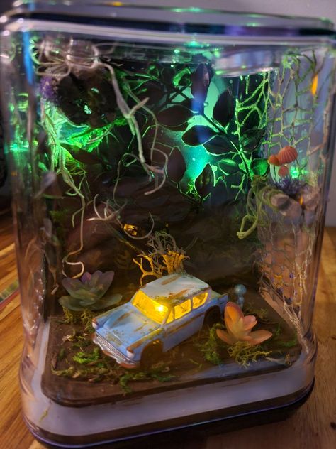 #harrypotter #jumpingspider #spiderhome #Hogwarts #weasley #forbiddenforest #spiderenclosure Jumping Spider Decor Ideas, Jumping Spider Terrarium Ideas, Jumping Spider Playground, Spider Terrarium Ideas, Diy Jumping Spider Hide, Beetle Terrarium, Jumping Spider Enclosure Ideas, Mantis Enclosure, Jumping Spider Terrarium