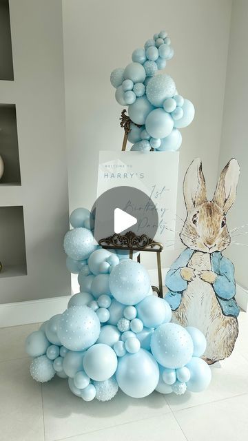 Rosalind Marsh on Instagram: "✽ Harry’s 1st Birthday ✽  Last one of this cute welcome sign and balloon easel.  Also check out the awesome cake from @jessicakescambridge absolute cuteness overload 🐰🥰🩵  I’ve got another easel and balloon booking coming up soon but a completely different colour scheme, any guesses?   #peterrabbit #peterrabbitparty #firstbirthdayparty #1stbirthday #1stbirthdayparty #balloon #balloons #ballooncambridge #balloonscambridge #balloonartistry #balloonartistuk #balloonsuk #ballooneasel #welcomesign #theeventcollectivex #shimmerandconfetti @theeventcollectivex @shimmerandconfetti @storybook_bliss @make_a_wish_ua #alessoninluxury @funtasia.party @gorillagorillaparty @proballoonshop @balloonmarket.uk @greetingshouse" Balloons Around Easel, Balloons On Welcome Sign, Balloon Easel, Balloon Easel Display, Balloons Around Welcome Sign, Sign On Easel With Balloons, Welcome Sign With Balloons, Balloon Sign Entrance, Peter Rabbit Party