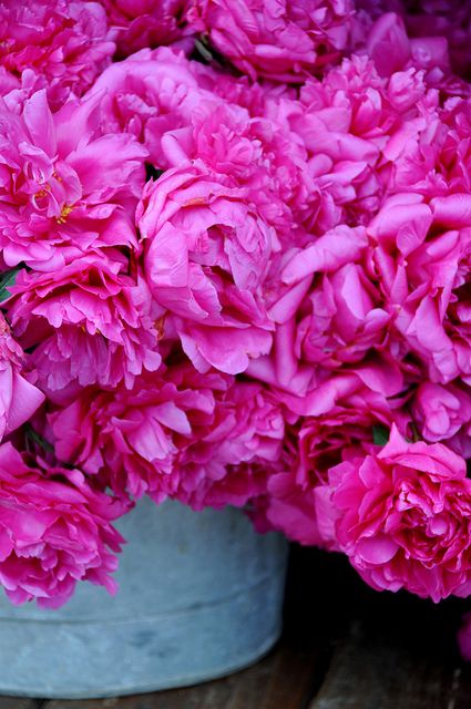 Beauty Bomb, Flowers Winter, Winter Wedding Bouquet, Rustic Vase, I Believe In Pink, Color Magenta, Tickled Pink, Everything Pink, Flower Field