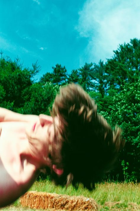 Dead Forest, Ryan Mcginley, Photography Motion, Baby Raccoon, 55 Gallon, Motion Blur, Light Leak, Tree Hugger, Movie Night