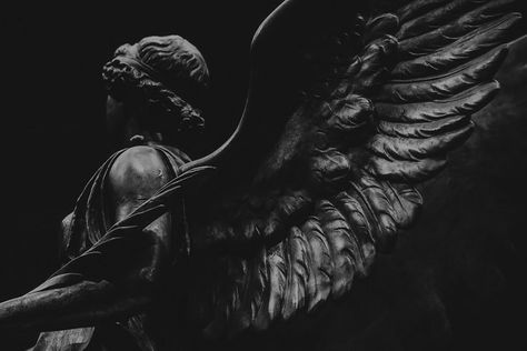 Istoria Artei, Ange Demon, Angel Aesthetic, Dark Academia Aesthetic, Fantasy Aesthetic, Museum Of Fine Arts, Fallen Angel, An Angel, Dark Aesthetic