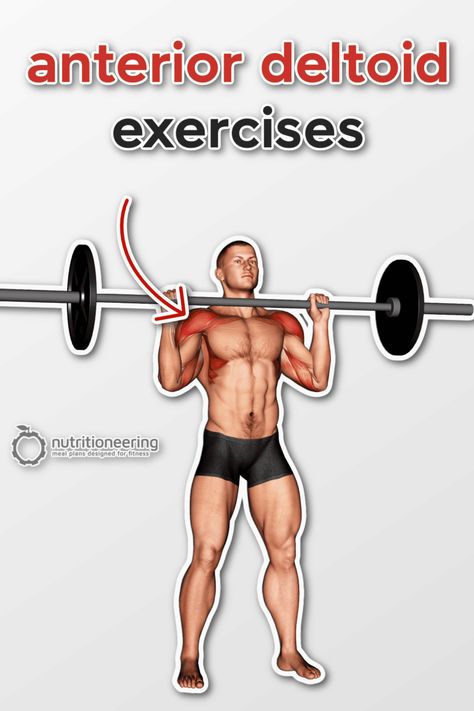 23 Anterior Deltoid Exercises for Shoulder Size & Strength Anterior Deltoid Exercises, Front Deltoid Exercises, Deltoid Exercises, Leg Day Memes, Deltoid Workout, Dumbbell Shoulder Press, Dumbbell Press, Military Press, Barbell Workout