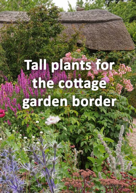 Cottage Garden Diy, Small Border Garden, English Garden Border, Fairy Cottage Garden, Tall Border Plants, Cottage Garden Border Plan, Country Garden Borders, English Garden Border Ideas, Beautiful English Gardens