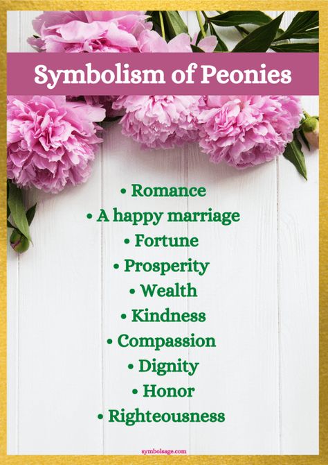 The flower of spring, peonies are highly popular in wedding bouquets. Here's a look at its symbolism. Peonies Symbolize, Peony Symbolism, Peony Flower Meaning, Peony Meaning, Peony Farm, Hydrangea Bouquet Wedding, Tropical Flower Plants, Flower Symbol, Peonies And Hydrangeas