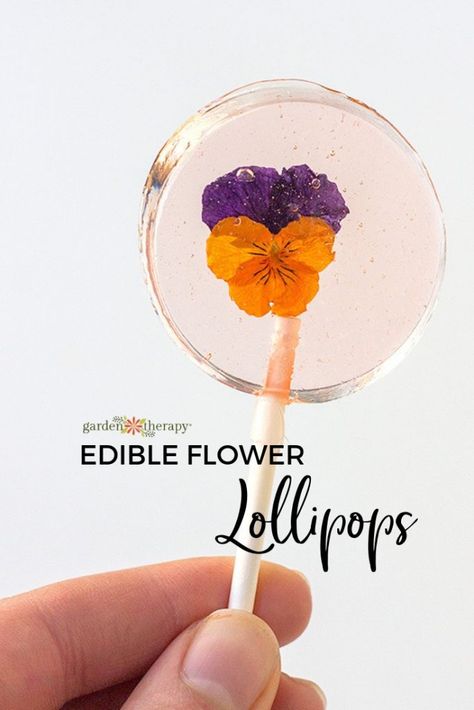 A Sweet Garden Party Treat: Edible Flower Lollipops. Celebrate the blooming flowers of the season by making these edible flower lollipops for your next party. Simply pluck a few violas from your garden and let’s make lollies. #gardentherapy #lollipop Flower Lollipops, Lollipops Recipe, Lollipop Recipe, Flower Desserts, Edible Flowers Recipes, Flower Party, Köstliche Desserts, Flower Food, Beltane