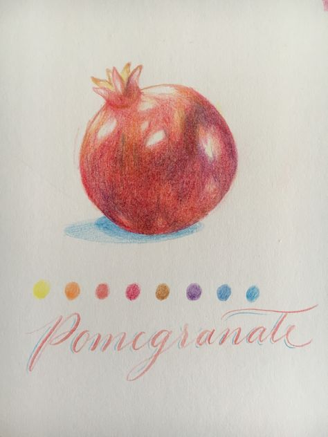 Colour pencil pomegranate Pomegranate Sketch, Drawing Pomegranate, Casual Drawing, Pomegranate Drawing, Leaving Cert, Pomegranate Art, Color Pencil Sketch, Pomegranate Design, Pencil Sketching