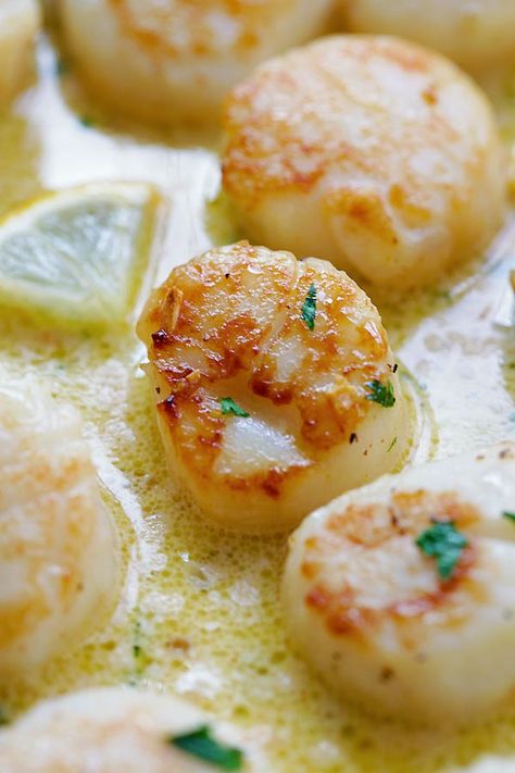 Garlic Scallops Recipe, Best Scallop Recipe, Garlic Scallops, Scallop Recipe, Scallop Recipes, Seafood Dinner, Creamy Garlic, Fish Dishes, Sea Food