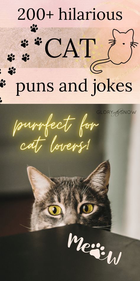 Funny Cat Birthday Meme Hilarious, Meowdy Texas Cat, Cat Puns Birthday, Cat Ig Captions, Sunday Cat Quotes, Halloween Cat Puns, Cat Jokes For Kids, Kitten Captions For Instagram, Kitten Shower Ideas