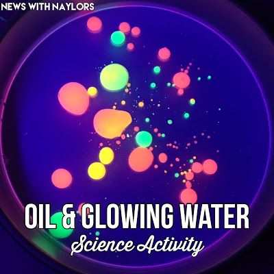 News with Naylor's: Oil & Glowing Water Science Experiment for toddlers and preschoolers. This was so much fun for my three year old AND me. This takes a few minutes to put together for a wow science activity. Letter O Science. Science For Three Year Olds, Letter O Science Experiments, Letter G Science For Preschoolers, Letter O Activities For Toddlers, Letter O Activities For Preschool, Preschool Letter O, Letter O Preschool, Architect Room, Science Experiment For Toddlers