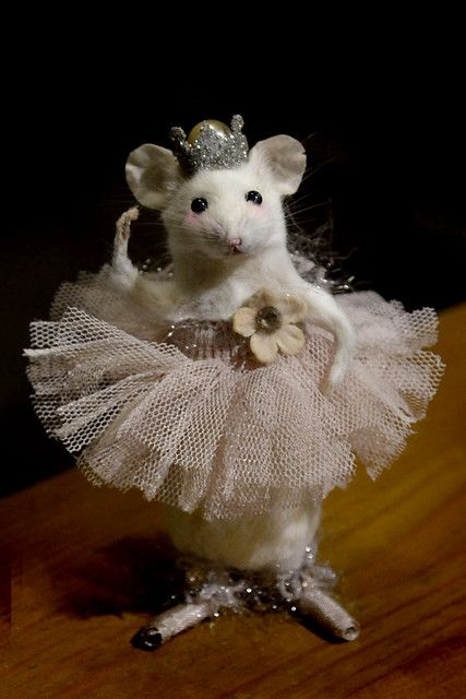 Rattus Rattus, Funny Rats, Funny Mouse, Funny Hamsters, Cute Rats, Cute Hamsters, Funny Animal Jokes, Cute Mouse, Cute Animal Photos