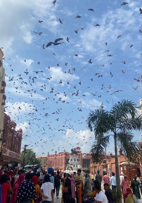 Amritsar Aesthetic, Harmandir Sahib Photography, Temple Wallpaper, Golden Temple Wallpaper, Car Snap, Harmandir Sahib, Punjabi Culture, Travel Pose, Happy New Year Pictures