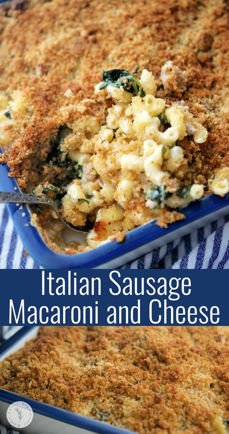 Macaroni and cheese made with sweet Italian sausage, fresh spinach and a Fontina Alfredo sauce; then topped with buttery Italian breadcrumbs. Sausage Macaroni, Tortellini Bake, Easy Vegetable Side Dishes, Italian Breadcrumbs, Veal Recipes, Pasta Noodle Recipe, Italian Sausage Recipes, Macaroni Recipes, Sweet Italian Sausage