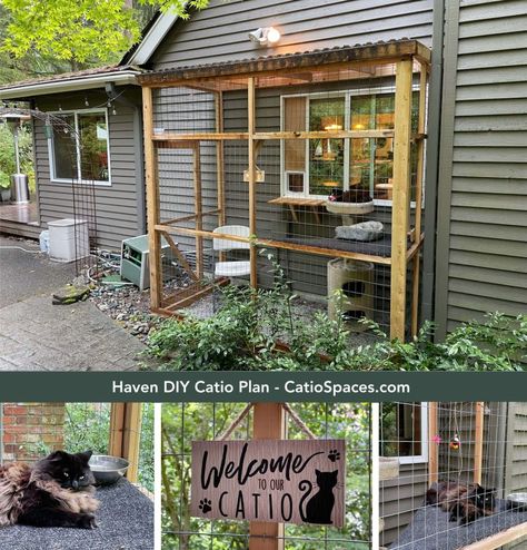 12 DIY Catio Plan Creations for Happy Cats - Catio Spaces Catio Plans Diy, Catios Diy, Catio Cats, Catio Plans, Kitty Care, Window Boxes Diy, Cats Outside, Backyard Views, Outdoor Cat House