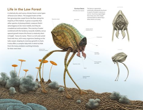 Alien Life Forms, Alien Life, Garden Modern, Alien Concept, Alien Design, Fantasy Beasts, Alien Planet, Alien Races, Alien Concept Art