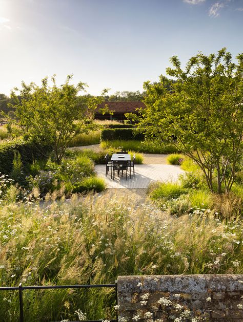 Modern garden design in Cambridgeshire, Suffolk, Norfolk, Essex, Hertfordshire, London & beyond Modern Country Interior Design, Narrow Gardens, France Garden, Naturalistic Garden, Modern Courtyard, Contemporary Garden Design, Wooden Greenhouses, London Garden, Gravel Garden