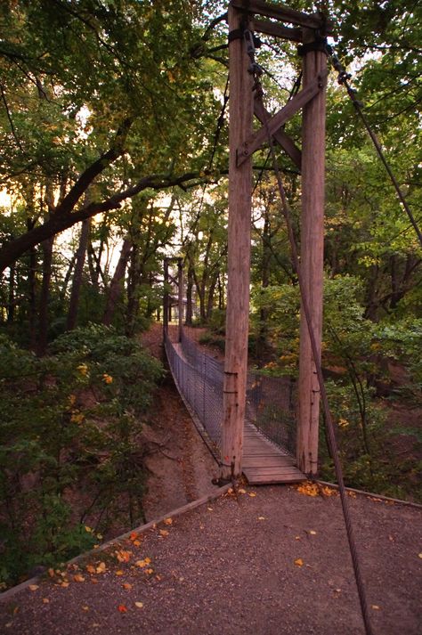 Discovered small county campground in Minnesota. Bray County Park 22214 Oriole Road, Madison Lake, MN 56063 Minnesota Campgrounds, Minnesota Travel, Camping Destinations, Minnesota, Camping, Lake, Road, Plants, Travel