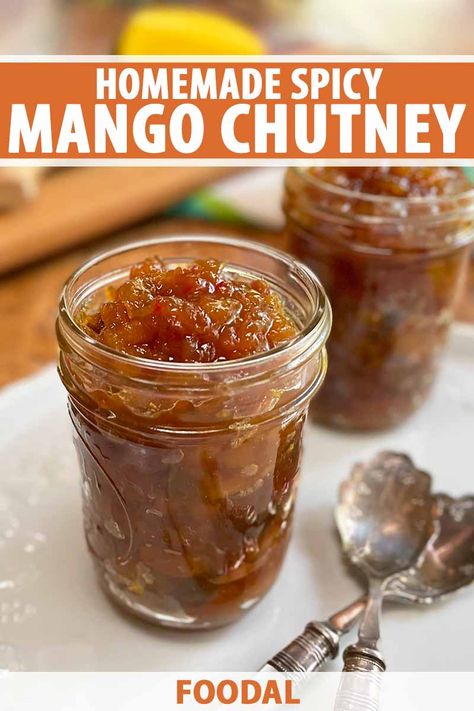 Are you craving a complex homemade condiment that's sweet, spicy, and savory to complement roast pork or chicken, or to accompany a cheese plate or charcuterie board? Try our recipe for a UK-style mango chutney made with fresh fruit and plenty of spices, onion, red chili peppers, and ginger. #mango #chutney #foodal Spicy Mango Chutney Recipe, Chilli Chutney Recipes, Ginger Chutney Recipe, Mango Chutney Recipe, Onion Chutney, Ginger Chutney, Vegan Summer Recipes, Mango Chutney, Homemade Condiments