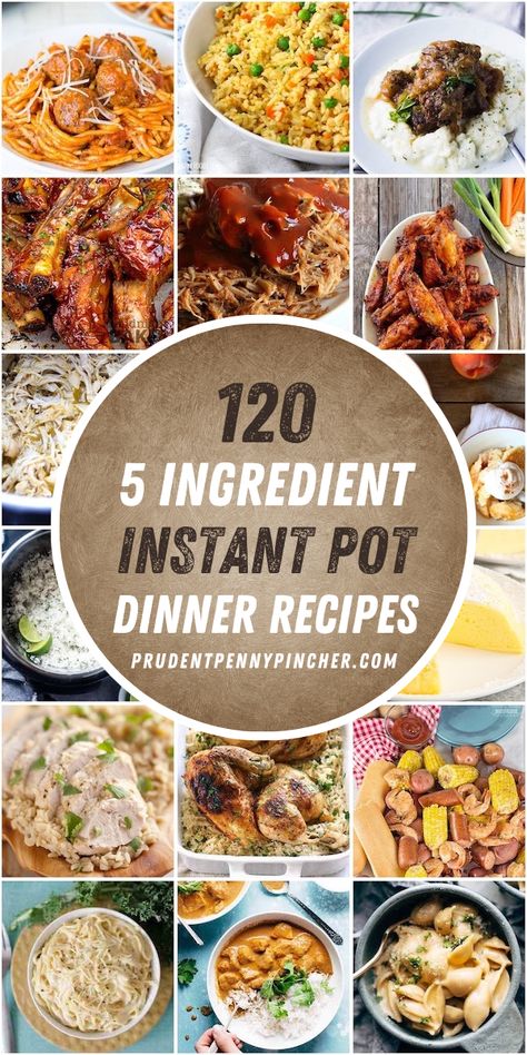 5 Ingredient Instant Pot Recipes, Quick Instant Pot Recipes, Cheap Instant Pot, Instant Pot Dinner, Chicken Dinners, Instant Pot Dinner Recipes, Easy Instant Pot Recipes, Vegetarian Dinners, Instapot Recipes