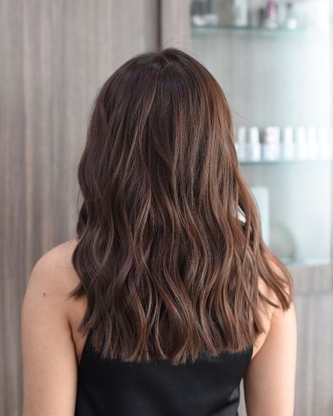 Brown Balayage No Bleach, No Bleach Balayage Brown Hair, No Bleach Brown Hair, Brown Hair No Bleach, No Bleach Balayage, No Bleach Hair Color, Bleach Brown Hair, Bleach Balayage, Bleach Hair Color