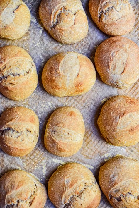 Sourdough Dinner Rolls- No Yeast! - Lynn's Way of Life Dinner Rolls No Yeast, Rolls No Yeast, No Knead Sourdough, Sourdough Dinner, Sourdough Dinner Rolls, Sourdough Rolls, Making Sourdough Bread, Discard Recipes, Homemade Sourdough Bread