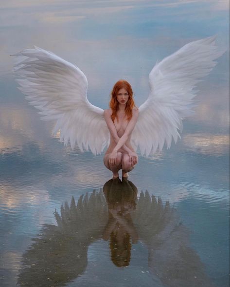 Angel Wings Photography, Michelle Instagram, Angel Photography, Angel Drawing, Fairytale Photography, Beautiful Dark Art, Angel Pictures, Angels And Demons, Angel Art