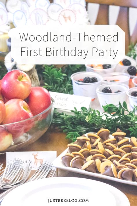 Winter Woodland Birthday Party, Woodland Birthday Theme, Winter Woodland Birthday, Sweet Sixteen Party Themes, Woodland First Birthday, Woodland Party Theme, Forest Birthday Party, Diy Woodland, Forest Birthday