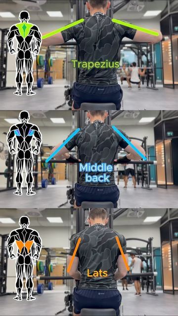 Back Lats Workout, Lats Workout, Seated Row Machine, Best Back Workout, Workout For Back, Gym Back Workout, Seated Row, Back Day Workout, Good Back Workouts