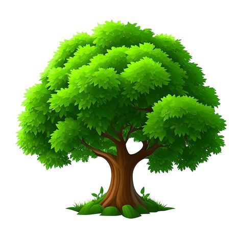 Tree Photo Background, Tree Png Hd, Tree Cartoon Images, Green Objects, Palm Tree Clip Art, Cartoon Tree, Trees Clipart, Tree Cartoon, Tree Photos