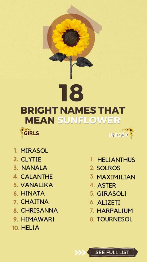 Sunny Name, Sun Inspired Names, Sunflower Meaning, Highlight Names, Names That Mean Sun, Sunflower Aesthetic, Sun Names, Sunflower Names, Sunflower Quotes