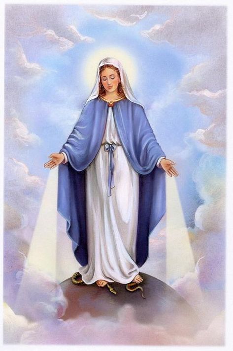 Images and Symbolism of Our Lady of Grace – mydevotionstoDEA Immaculate Mary, Mother Maria, Mary Images, Our Lady Of Grace, Mother Mary Images, Blessed Mary, Holy Quotes, Images Of Mary, Religious Pictures