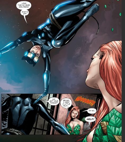 Poison Ivy And Catwoman, Catwoman Comics, Poison Ivy 2, Poison Ivy Comic, Selina Kyle, Cycle Of Life, Dc Characters, Batwoman, Poison Ivy