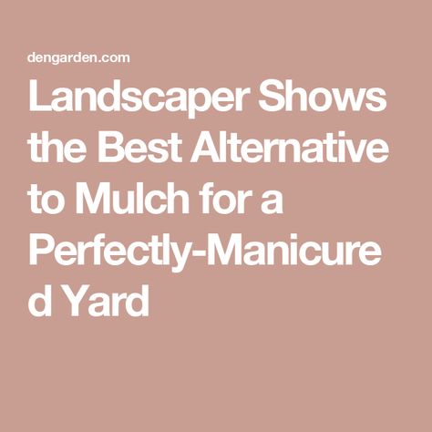 Landscaper Shows the Best Alternative to Mulch for a Perfectly-Manicured Yard Alternatives To Mulch, Mulch Alternatives, Grass Alternative, Edging Stones, Outdoor Bbq Area, Mulch Landscaping, Low Maintenance Landscaping, Growing Roses, Shade Trees