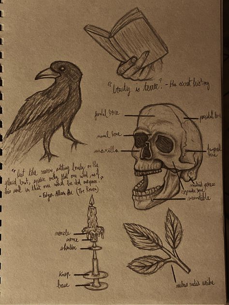 Sketchbook Dark Academia, Easy Dark Academia Drawing, Dark Academia Doodles Easy, Dark Academia Paintings Easy, Dark Academia Draw, Dark Academia Scrapbook Ideas, Dark Academia Art Drawing, Dark Academia Aesthetic Drawing, Academia Aesthetic Drawing