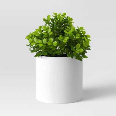 First Home Checklist, Bring The Outdoors Inside, Indoor Plants Styling, Boxwood Plant, Indoor Oasis, Artificial Plants Indoor, Fake Plants Decor, Boxwood Topiary, Inside Decor