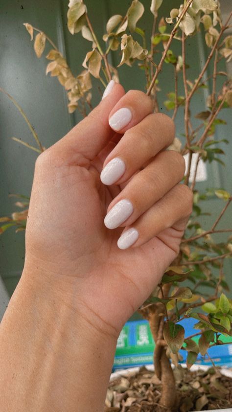 Funny Bunny OPI Funny Bunny Squoval Nails, Fluffy Bunny Nails, Nails Funny Bunny, Almond Nails Simple, Funny Bunny Opi, Funny Bunny Nails, Natural Almond Nails, Bunny Nails, Squoval Nails