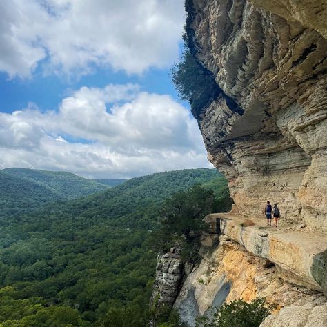 The narrow Goat Bluff trail to Big... - Ozark Mountain Region | Facebook Ozark Mountains, Ozark Trail, Goats, Favorite Places, Hiking, Good Things, Band